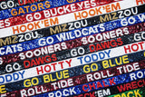 Gameday Purse  Strap