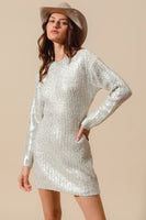 Silver Metallic Holiday Sweater Dress